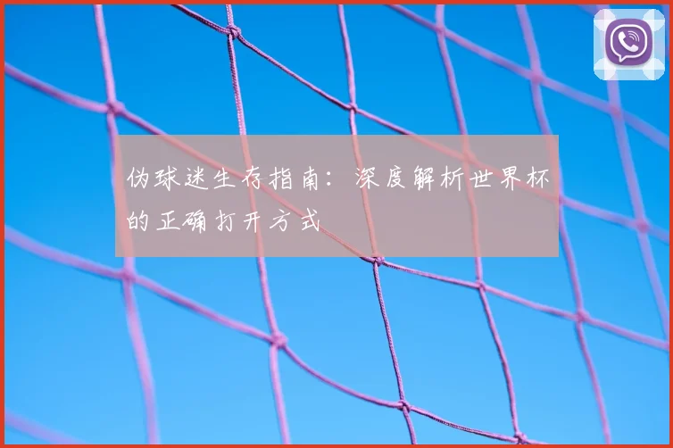 伪球迷生存指南：深度解析世界杯的正确打开方式