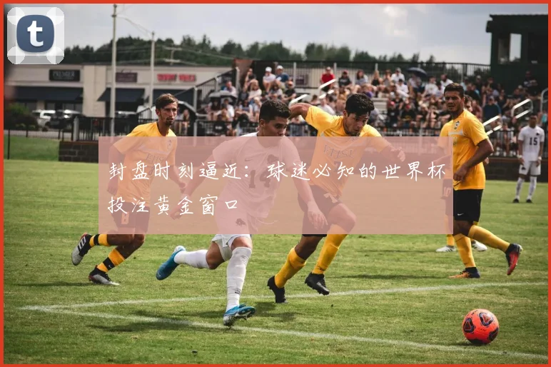 封盘时刻逼近:球迷必知的世界杯投注黄金窗口