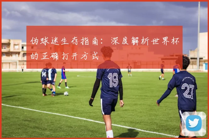 伪球迷生存指南：深度解析世界杯的正确打开方式