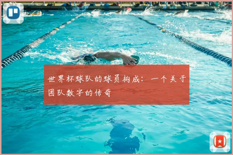 世界杯球队的球员构成：一个关于团队数字的传奇