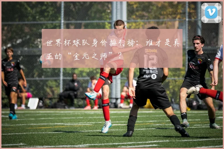 世界杯球队身价排行榜：谁才是真正的“金元之师”？